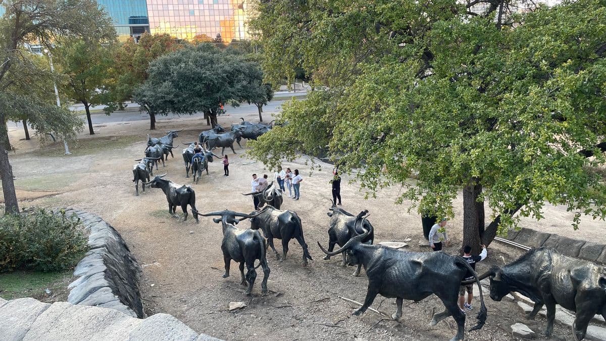Pioneer Plaza Cattle Drive Sculptures