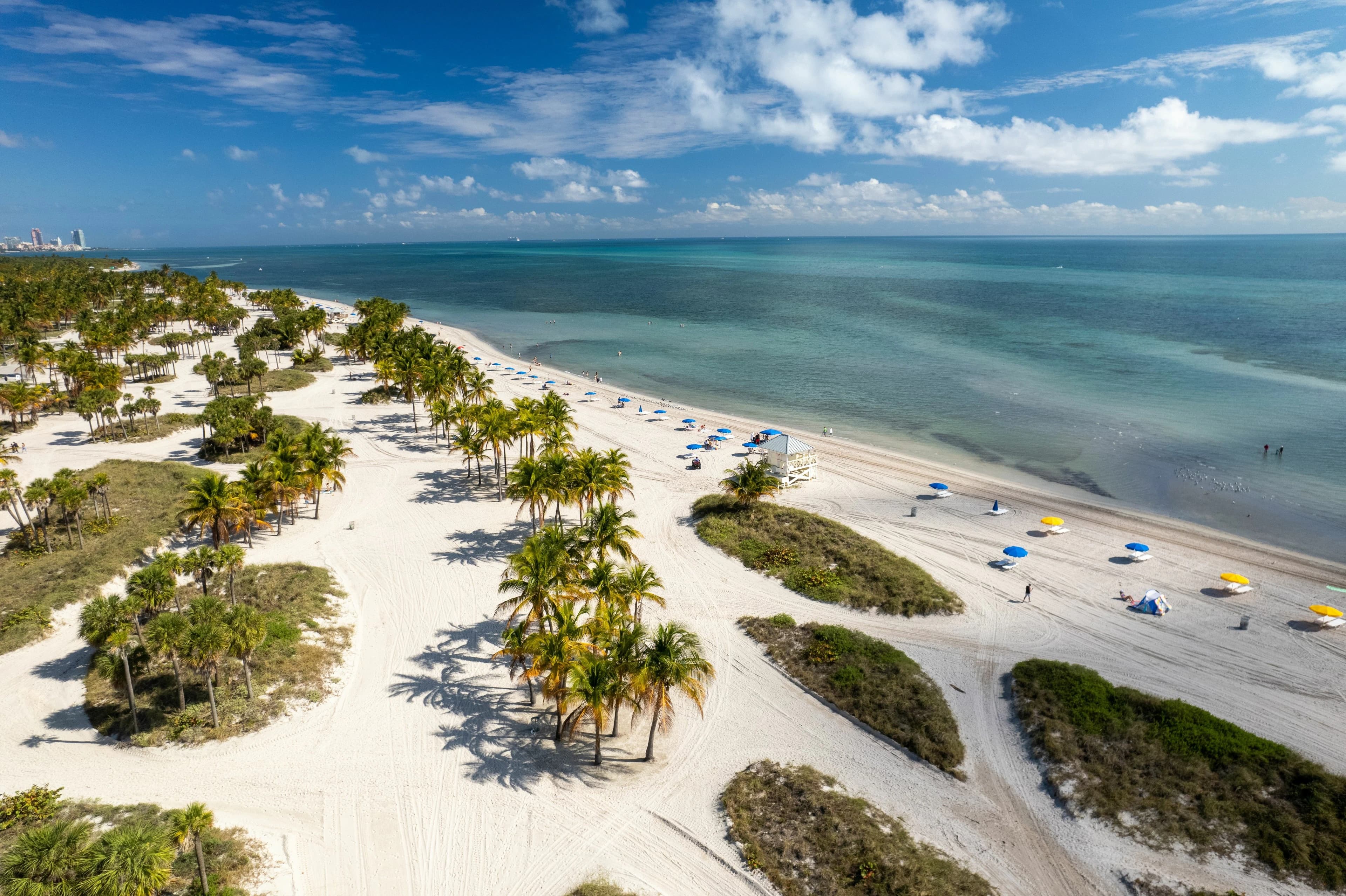 Crandon Park Beach Day