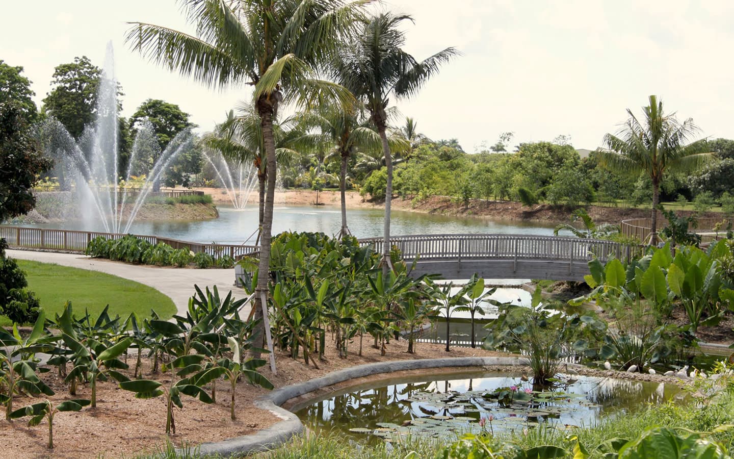 Fruit & Spice Park Tour