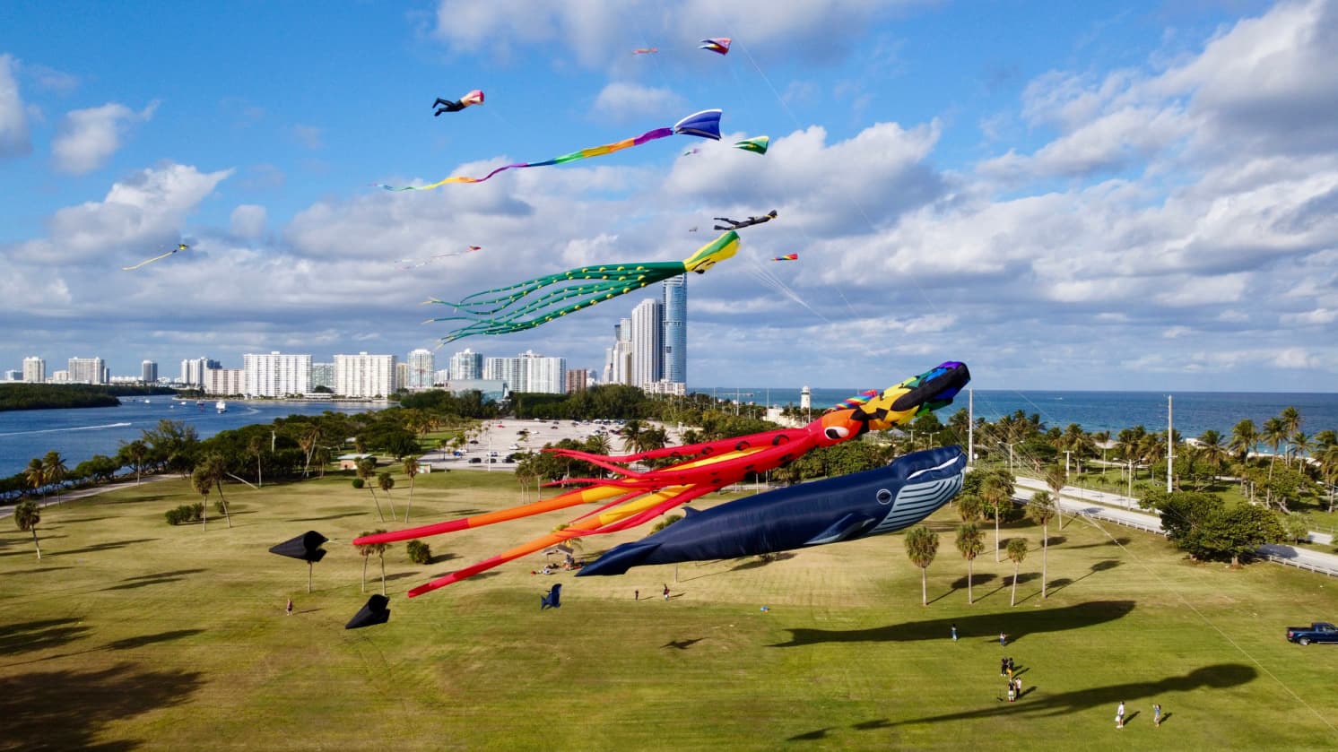 Haulover Park Kite Flying