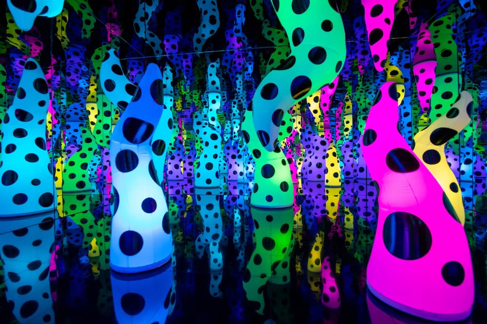 Pérez Art Museum Miami (PAMM)