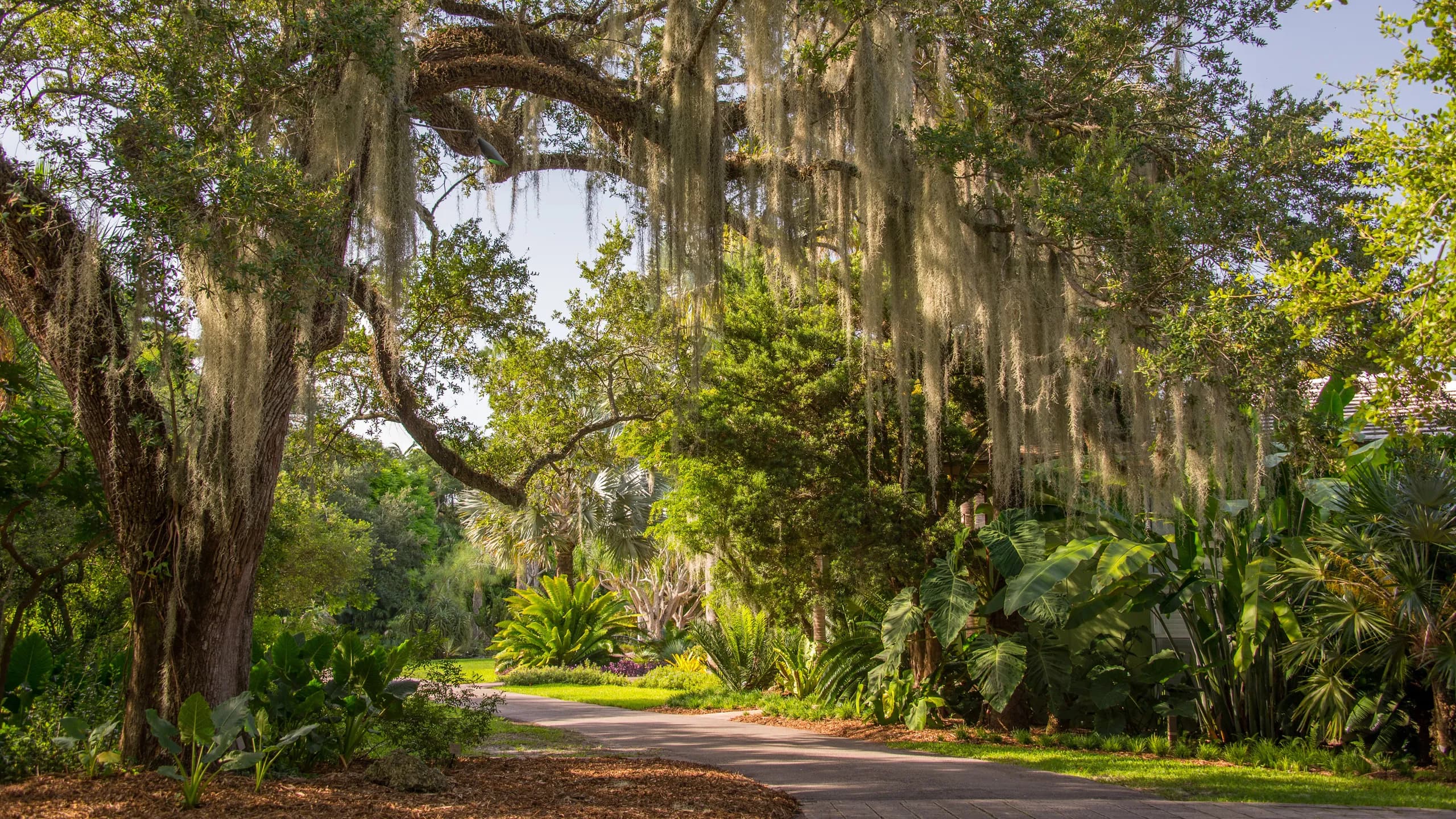 Fairchild Tropical Botanic Garden