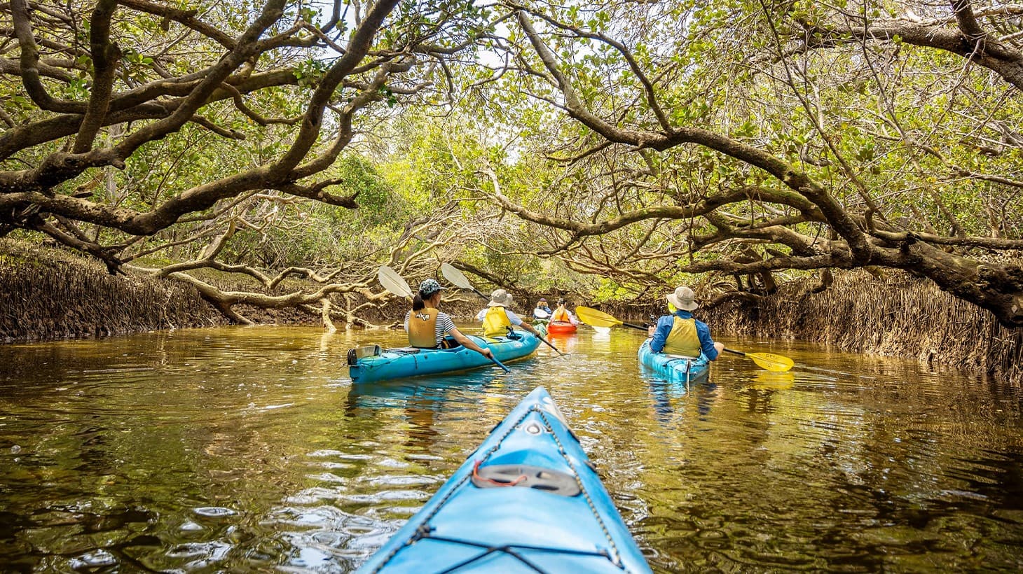 Kayak Tour in North Miami Beach - Mangrove Tunnels