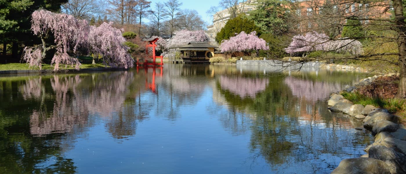 Brooklyn Botanic Garden Stroll